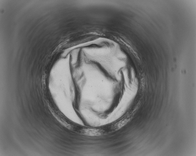 X0000085050265200704021327