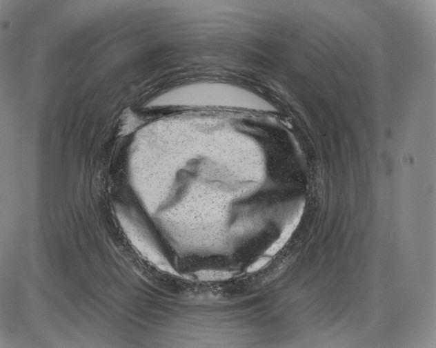 X0000085050266200704021327