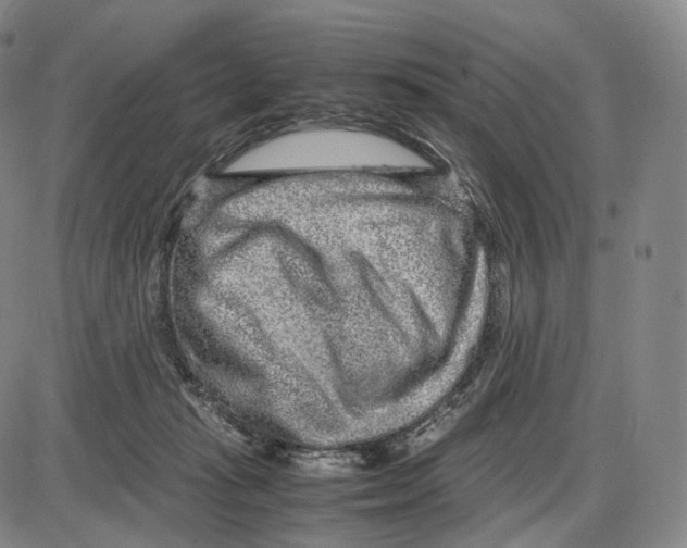 X0000085050269200704021327