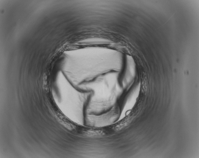 X0000085050270200704021327