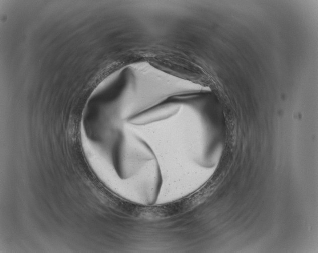 X0000085050273200704021327