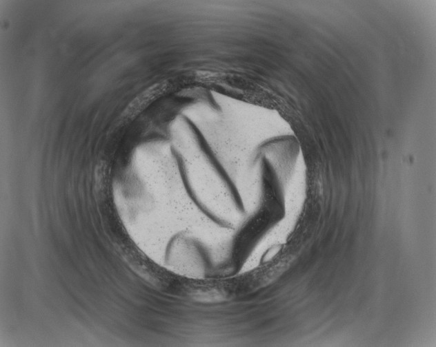 X0000085050275200704021327