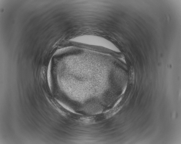 X0000085050280200704021327