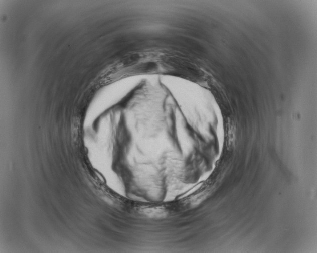 X0000085050283200704021327
