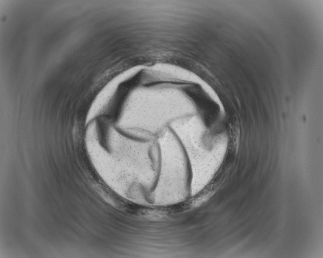 X0000085050286200704021327