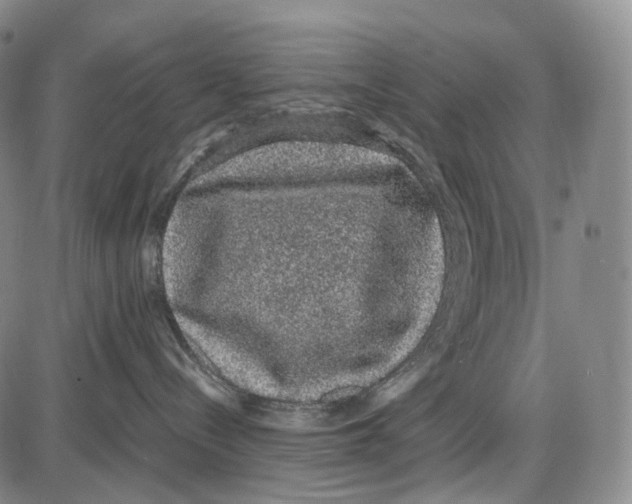 X0000085050288200704021327