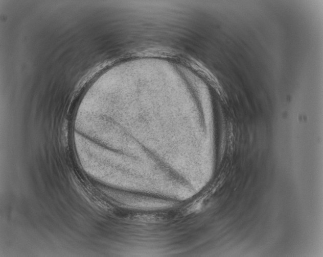 X0000085050298200704021326