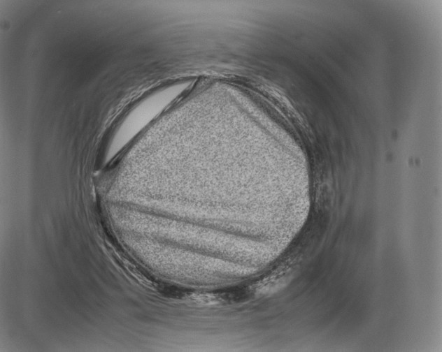 X0000085050299200704021326