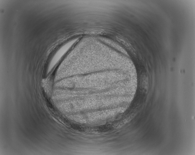 X0000085050303200704021326