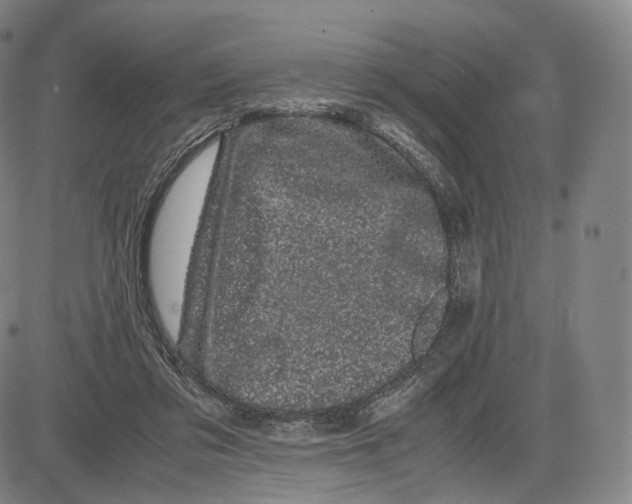 X0000085050309200704021326