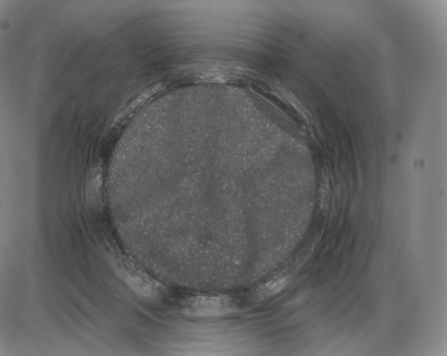 X0000085050314200704021326