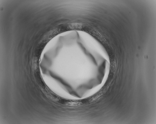 X0000085050323200704021326