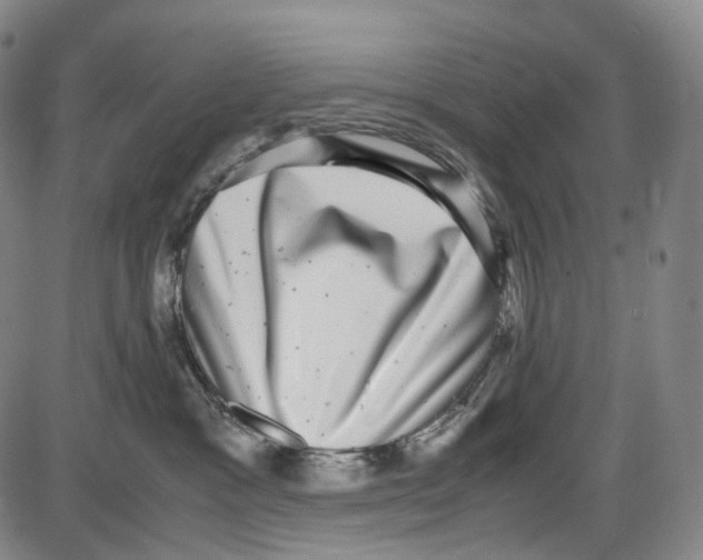 X0000085050333200704021326
