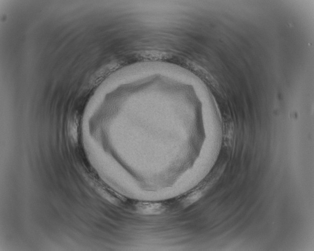 X0000085050334200704021326