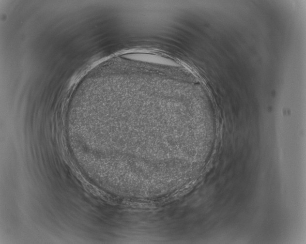 X0000085050337200704021325
