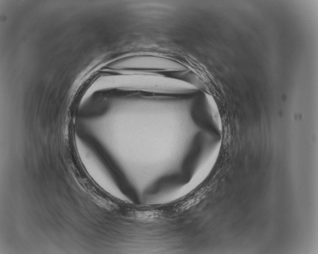 X0000085050344200704021325