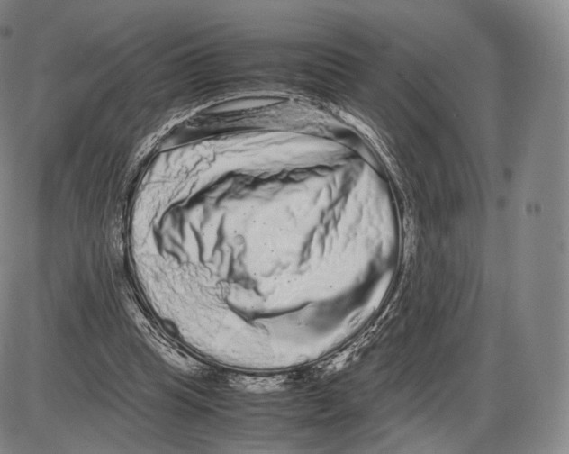 X0000085050345200704021325