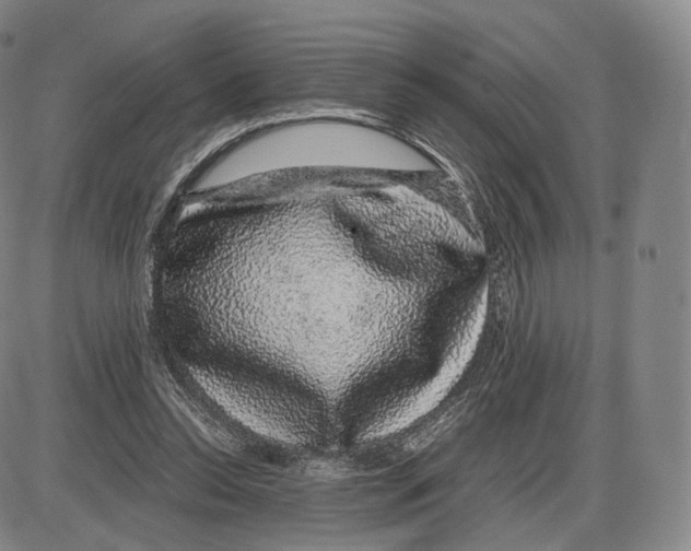 X0000085050350200704021325