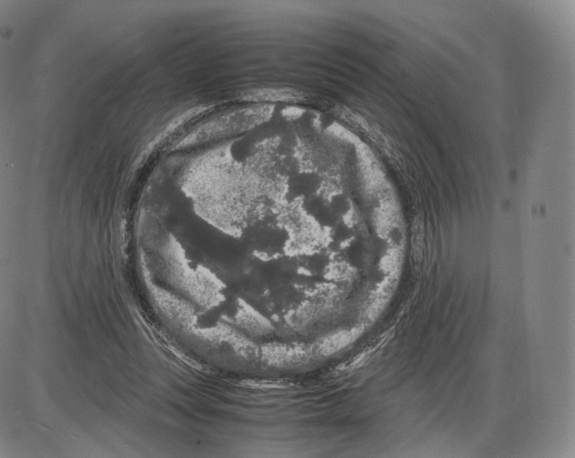 X0000085050351200704021325