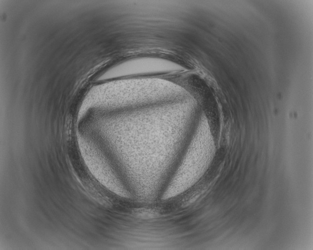 X0000085050356200704021325
