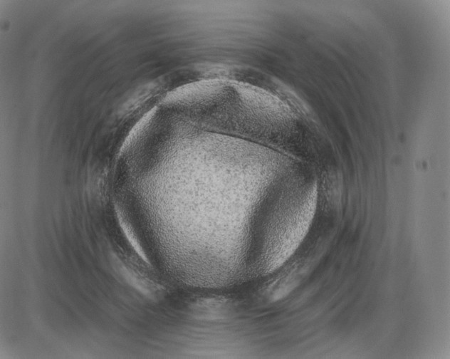 X0000085050364200704021325