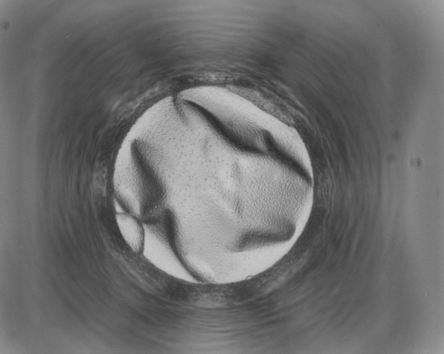 X0000085050368200704021325