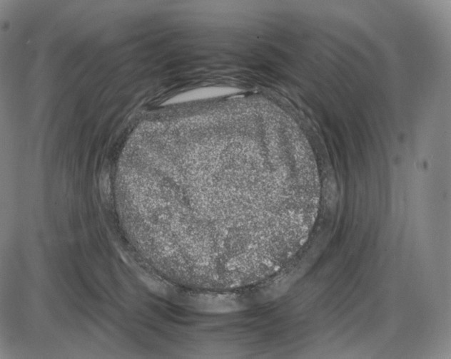 X0000085050375200704021325