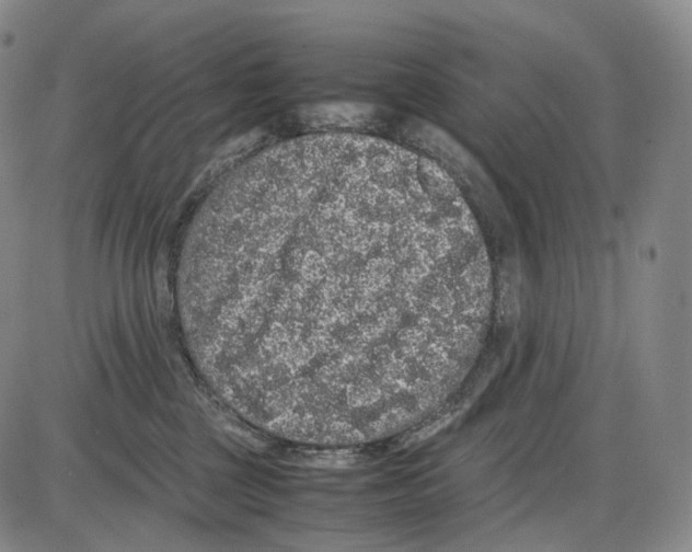 X0000085050377200704021325