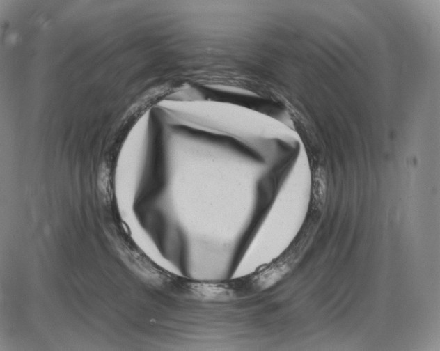 X0000085050380200704021325