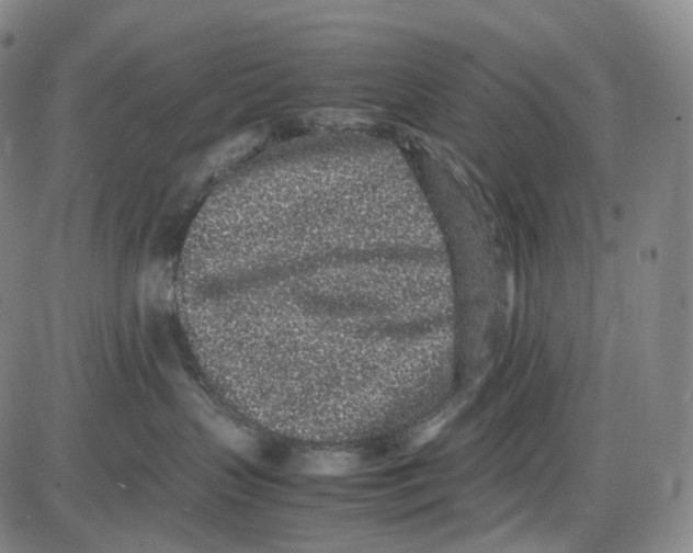 X0000085050383200704021326