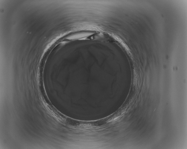 X0000085050391200704021325