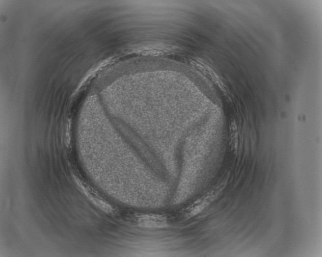 X0000085050400200704021325