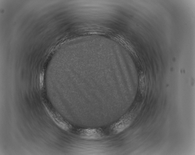 X0000085050406200704021324