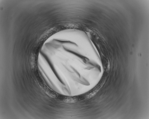 X0000085050416200704021324