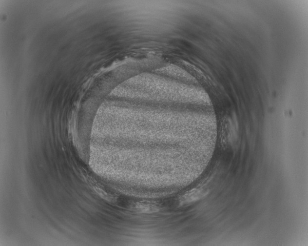X0000085050420200704021324
