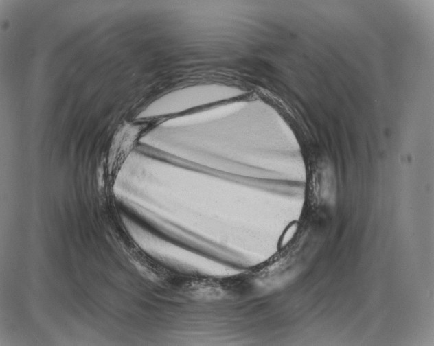 X0000085050424200704021324