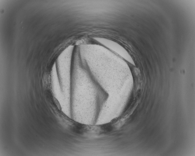 X0000085050429200704021324