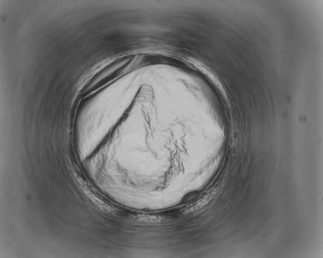 X0000085050437200704021323