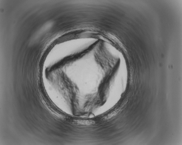 X0000085050439200704021323