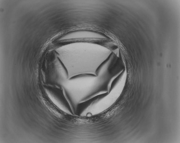 X0000085050442200704021323