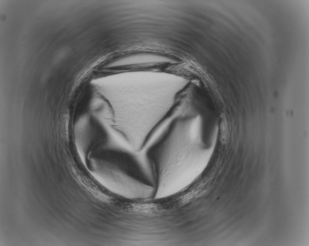 X0000085050446200704021323