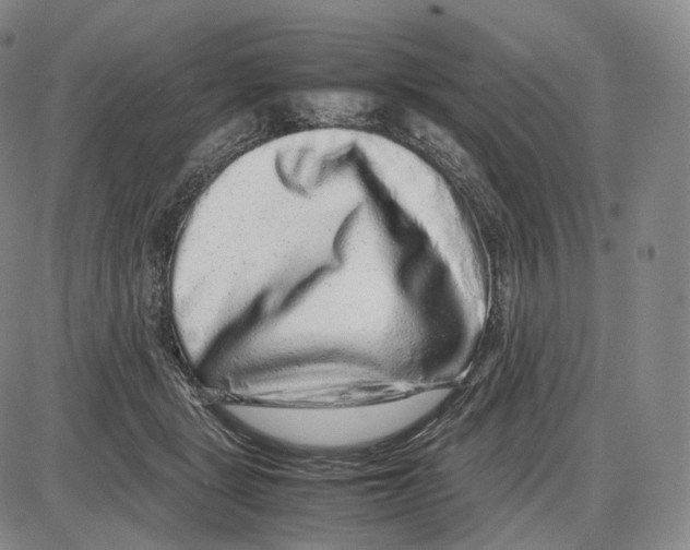 X0000085050461200704021324