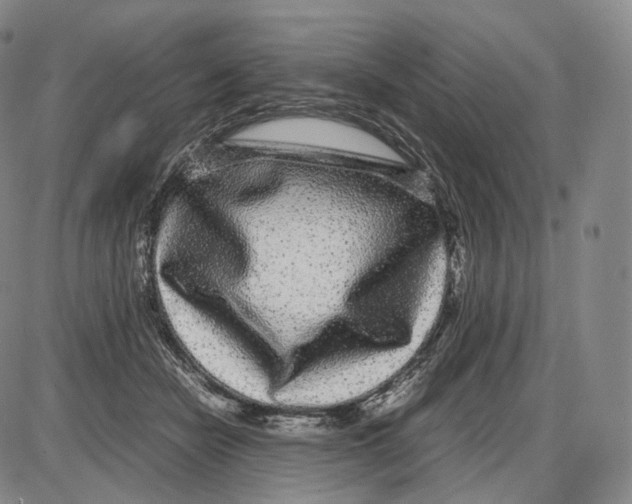 X0000085050462200704021324