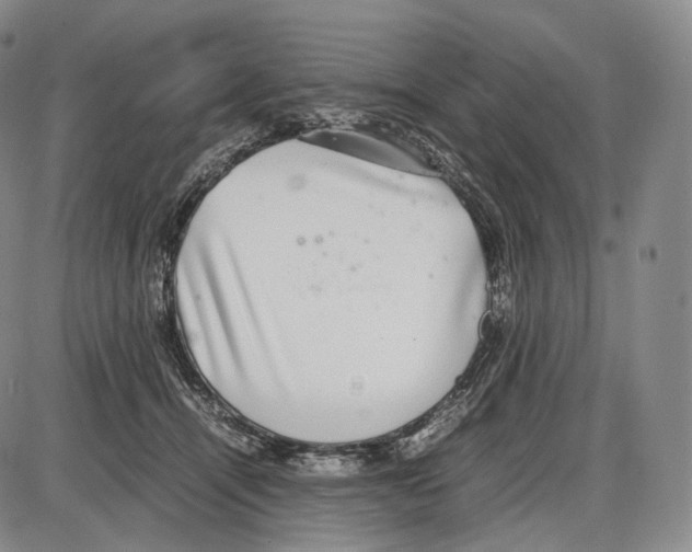 X0000085050464200704021324