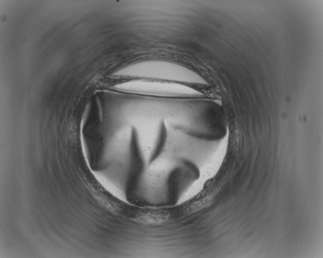 X0000085050466200704021324