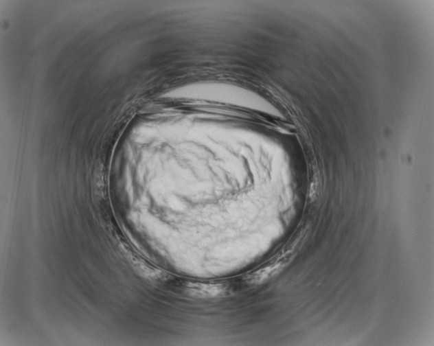 X0000085050469200704021324