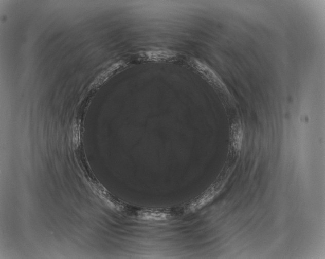 X0000085050471200704021324