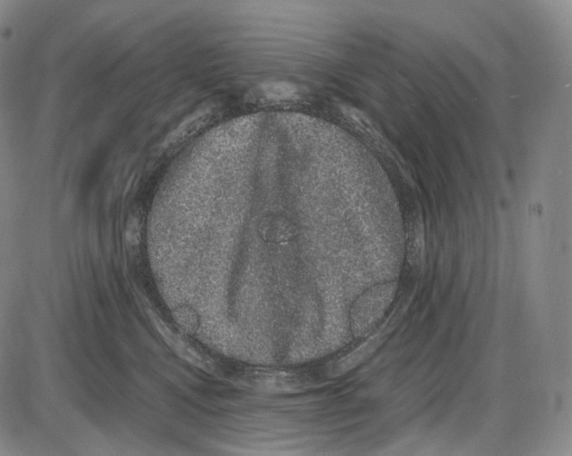 X0000085050472200704021324