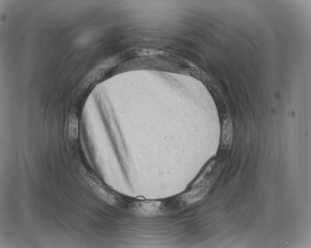 X0000085050474200704021324