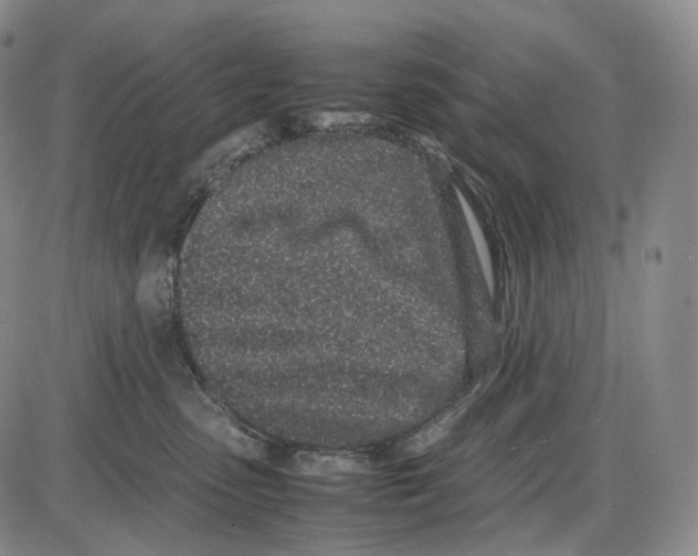 X0000085050475200704021324